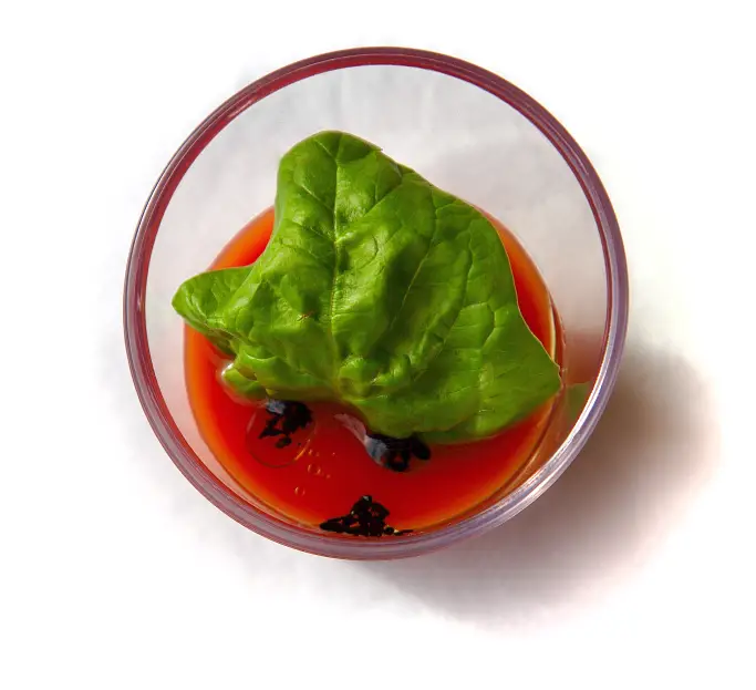 Simone Rossetto Personal Chef Ancona